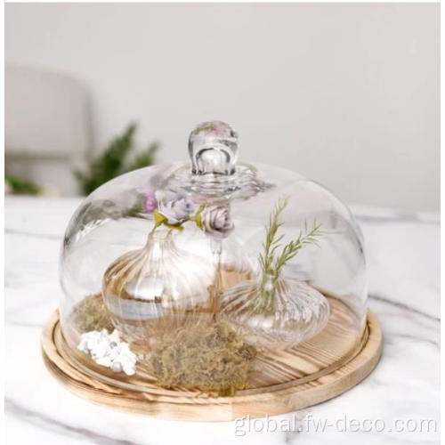 Glass Dome Lid Glass Cloche Bell Jar Display Dome cover Factory